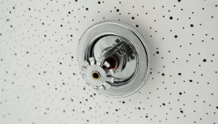 Fire Sprinkler In Commercial Ceiling